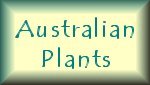 Australian Plants
